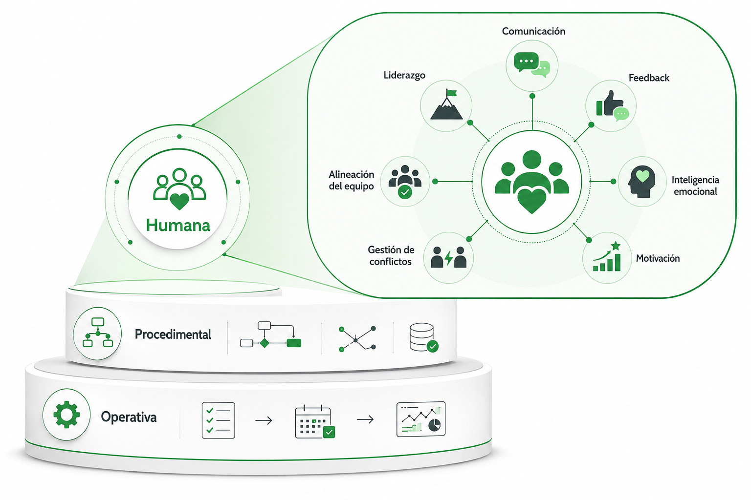 Capa humana: coaching y desarrollo directivo